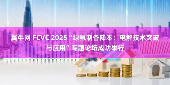 翼牛网 FCVC 2025“绿氢制备降本：电解技术突破与应用”专题论坛成功举行