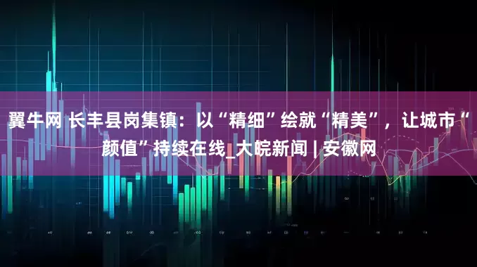翼牛网 长丰县岗集镇：以“精细”绘就“精美”，让城市“颜值”持续在线_大皖新闻 | 安徽网