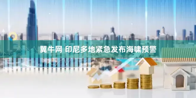 翼牛网 印尼多地紧急发布海啸预警